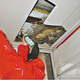 Image for article titled The best way to kill China’s deadly giant hornets: Meet the “divine gun” and “hornet pouch”